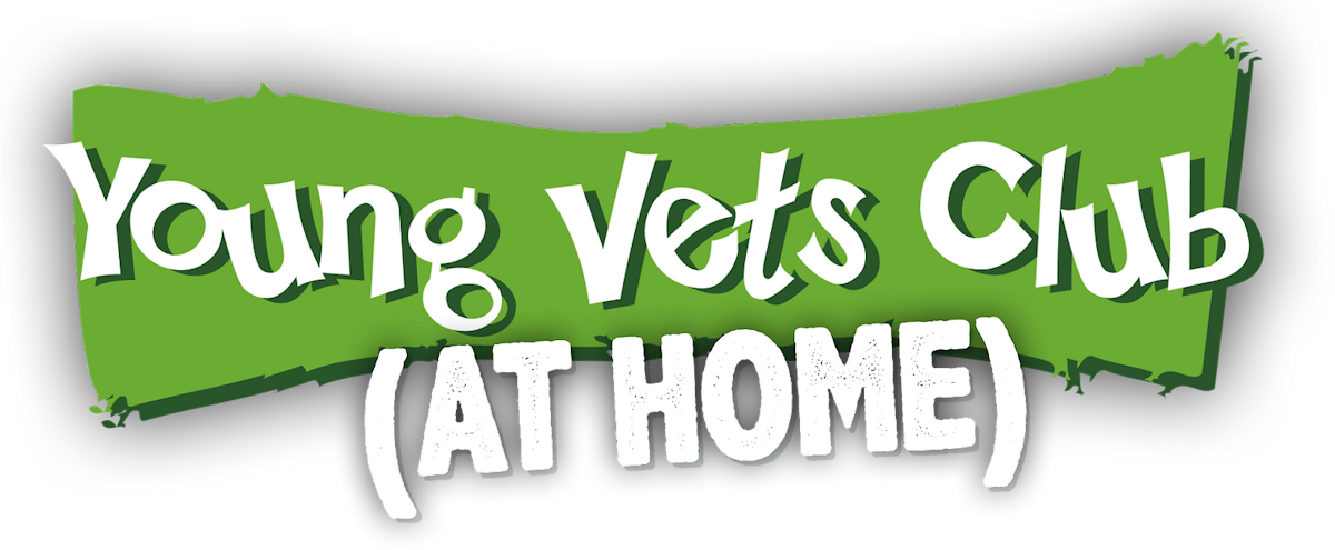 Young Vets Club at Home logo