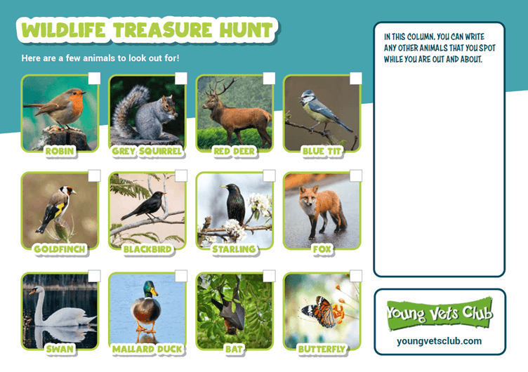 Link to Wildlife treasure hunt challenge