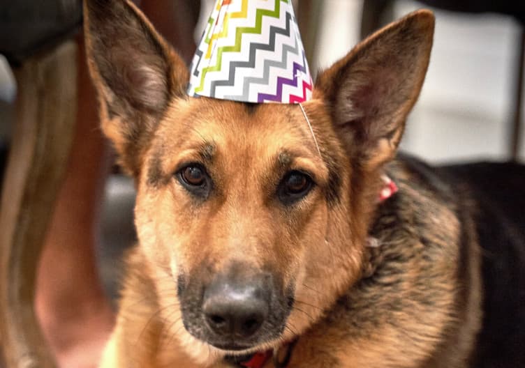 Link to Design a birthday hat challenge