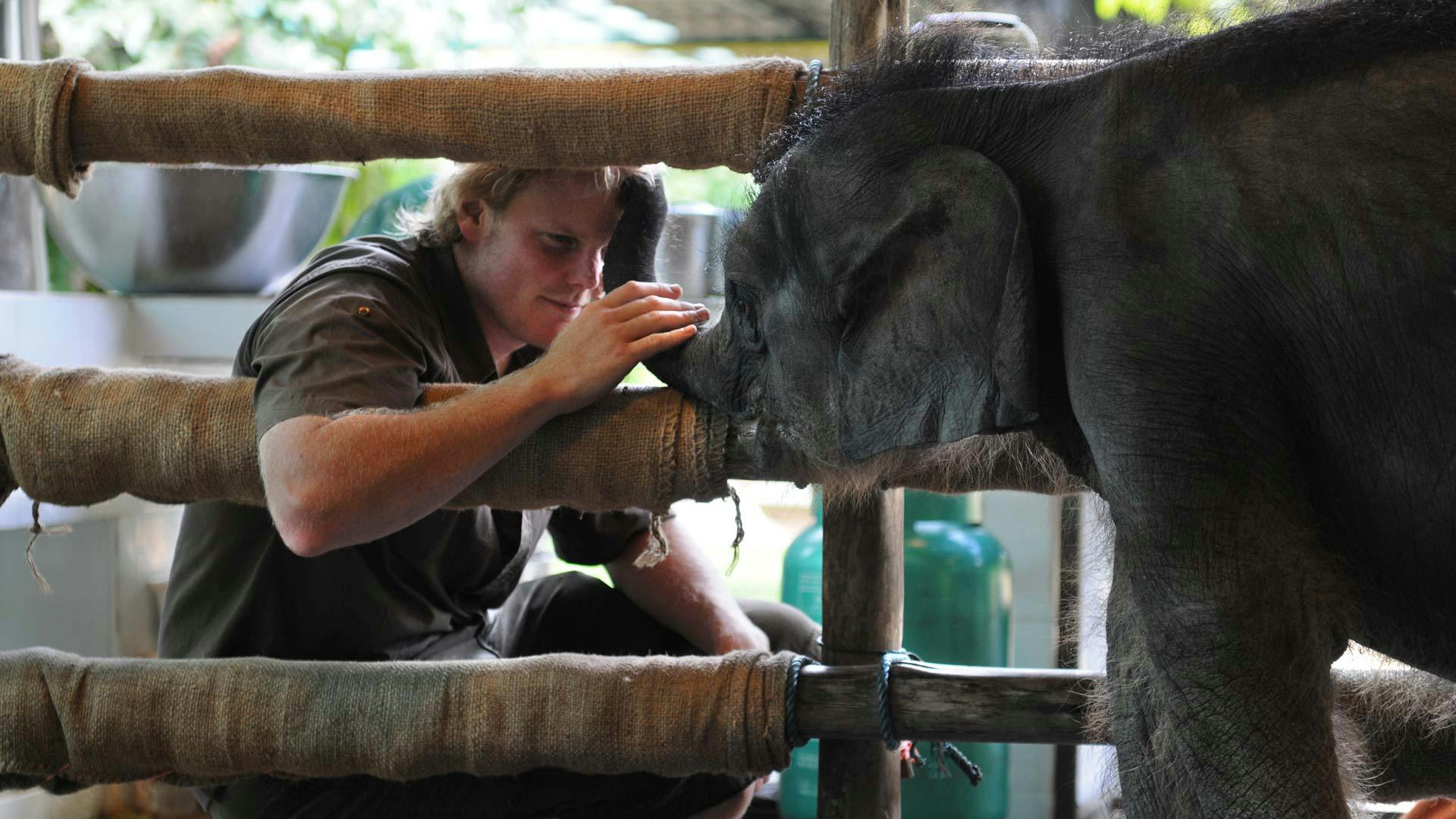 Luke Gamble caring for a baby elephant